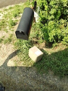 Customer delivery photo